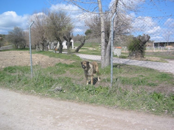 In Madrid
En una finca de Madrid.  

