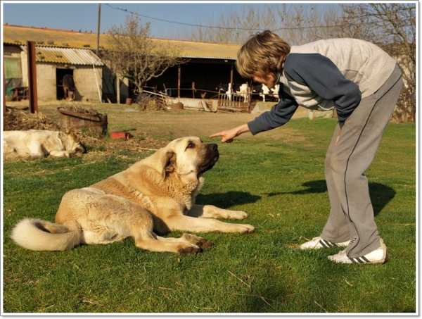 Zar jugando con Mikel
