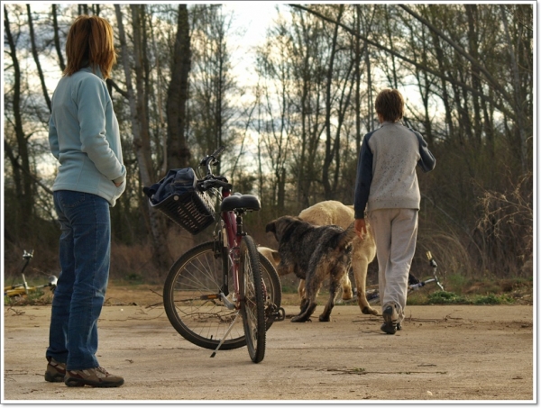 De paseo con Neska, Zar y Leoni hasta el río Órbigo
