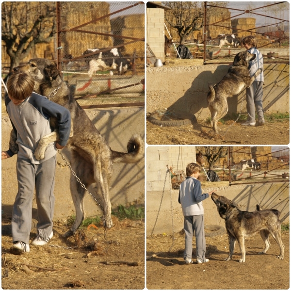 Leoni jugando con Mikel
