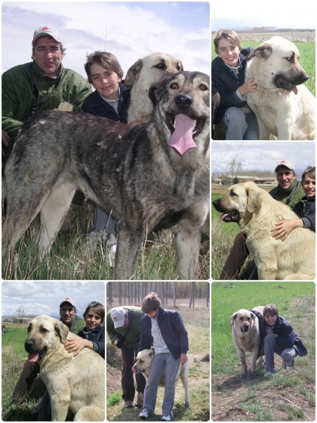 De paseo con Neska, Zar y Leoni
