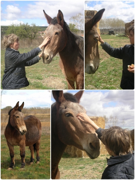 Mikel con el caballo
