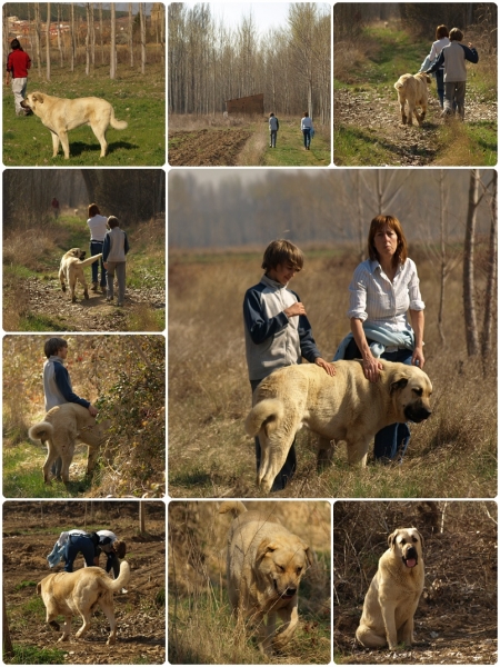 De paseo con Neska y Zar
