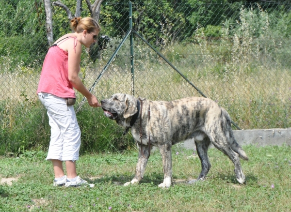 XL Tornado Erben getting reward
June 2011 - 16 months
