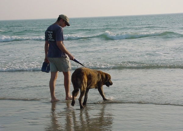 Thor (Toran du Chemin des Puits Tournants)
Toran du Chemin des Puits Tournants
Keywords: water coco