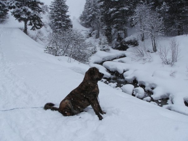 Thor 2006
Toran du Chemin des Puits Tournants
Kľúčové slová: snow nieve coco