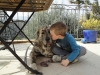 Filename=Copy_of_DSC00613.JPG
Filesize=619KiB
Dimensions=1277x958
Date added=%428 %31, %2011 Copy_of_DSC00613.JPG