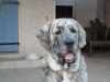 Filename=Copy_of_DSC00673.JPG
Filesize=495KiB
Dimensions=1277x958
Date added=%427 %31, %2011 Copy_of_DSC00673.JPG