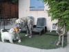 Filename=Copy_of_DSC00680.JPG
Filesize=557KiB
Dimensions=1277x958
Date added=%427 %31, %2011 Copy_of_DSC00680.JPG