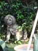 Filename=Copy_of_KIF_1680.JPG
Filesize=306KiB
Dimensions=852x1136
Date added=%823 %16, %2010 Copy_of_KIF_1680.JPG