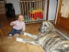 Filename=DSC00154.JPG
Filesize=84KiB
Dimensions=640x480
Date added=%485 %07, %2010 DSC00154.JPG