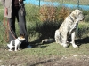 Filename=DSC00216.JPG
Filesize=149KiB
Dimensions=640x480
Date added=%484 %07, %2010 DSC00216.JPG