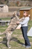Filename=DSC_0025.JPG
Filesize=546KiB
Dimensions=680x1024
Date added=%424 %26, %2012 DSC_0025.JPG