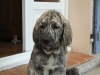 Filename=copy_o20.jpg
Filesize=125KiB
Dimensions=800x600
Date added=%438 %02, %2010 copy_o20.jpg