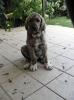 Filename=copy_o21.jpg
Filesize=242KiB
Dimensions=800x1067
Date added=%438 %02, %2010 copy_o21.jpg