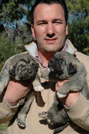 "El Agostadero"
Keywords: cachorros agostadero camadas