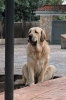 Filename=Wendy-del-Agostadero-R.jpg
Filesize=17KiB
Dimensions=224x336
Date added=%964 %17, %2009 Wendy-del-Agostadero-R.jpg