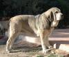 Filename=fiora.jpg
Filesize=87KiB
Dimensions=900x748
Date added=%982 %15, %2007 fiora.jpg