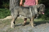 Filename=morgan.jpg
Filesize=96KiB
Dimensions=900x598
Date added=%547 %31, %2007 morgan.jpg