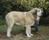 Filename=otho.jpg
Filesize=111KiB
Dimensions=1000x823
Date added=%988 %15, %2007 otho.jpg