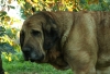 Filename=deissy~2.jpg
Filesize=271KiB
Dimensions=550x376
Date added=%838 %26, %2009 deissy~2.jpg
