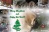 Filename=xmas.jpg
Filesize=79KiB
Dimensions=500x333
Date added=%823 %19, %2008 xmas.jpg