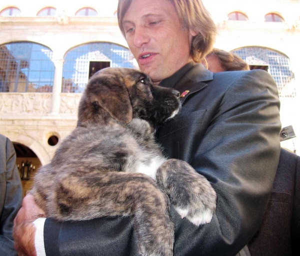 Viggo Mortensen y Alatriste de Babia
Keywords: babia viggo mortensen