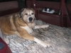 Filename=048_resized.jpg
Filesize=145KiB
Dimensions=1680x1260
Date added=%346 %16, %2010 048_resized.jpg