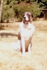 Filename=toundra5.jpg
Filesize=45KiB
Dimensions=320x476
Date added=%608 %14, %2006 toundra5.jpg