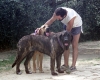 Filename=Cindy-foto-con-Giuseppe-per.jpg
Filesize=42KiB
Dimensions=400x321
Date added=%601 %14, %2006 Cindy-foto-con-Giuseppe-per.jpg