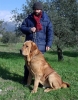 Filename=Dago4.jpg
Filesize=45KiB
Dimensions=300x381
Date added=%822 %15, %2006 Dago4.jpg