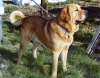 Filename=dagobody_stor.jpg
Filesize=100KiB
Dimensions=800x628
Date added=%830 %15, %2006 dagobody_stor.jpg