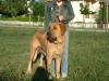 Filename=debby16.jpg
Filesize=45KiB
Dimensions=400x300
Date added=%602 %14, %2006 debby16.jpg