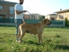 Filename=debby2.jpg
Filesize=42KiB
Dimensions=400x300
Date added=%603 %14, %2006 debby2.jpg