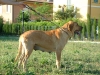 Filename=debby6.jpg
Filesize=52KiB
Dimensions=400x300
Date added=%820 %15, %2006 debby6.jpg