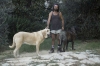 Filename=mattonig.jpg
Filesize=58KiB
Dimensions=800x532
Date added=%383 %02, %2006 mattonig.jpg