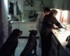 Filename=billeder_2005_007.jpg
Filesize=73KiB
Dimensions=624x504
Date added=%314 %16, %2006 billeder_2005_007.jpg