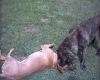 Filename=odin___mayby_030.jpg
Filesize=169KiB
Dimensions=627x502
Date added=%312 %16, %2006 odin___mayby_030.jpg