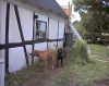 Filename=odin___mayby_039.jpg
Filesize=176KiB
Dimensions=768x614
Date added=%313 %16, %2006 odin___mayby_039.jpg