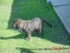 Filename=Gessi_3_meses_036.jpg
Filesize=142KiB
Dimensions=640x480
Date added=%326 %15, %2006 Gessi_3_meses_036.jpg