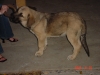 Filename=Risco_019.jpg
Filesize=143KiB
Dimensions=640x480
Date added=%311 %15, %2006 Risco_019.jpg