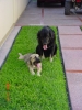Filename=Risco_033.jpg
Filesize=156KiB
Dimensions=480x640
Date added=%317 %15, %2006 Risco_033.jpg