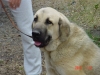 Filename=Risco_10_meses_04.jpg
Filesize=153KiB
Dimensions=640x480
Date added=%338 %15, %2006 Risco_10_meses_04.jpg