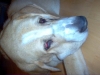 Filename=IM000774.JPG
Filesize=65KiB
Dimensions=640x480
Date added=%252 %16, %2006 IM000774.JPG