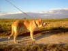 Filename=IM000788.JPG
Filesize=85KiB
Dimensions=640x480
Date added=%253 %16, %2006 IM000788.JPG