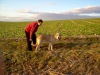 Filename=IM000790.JPG
Filesize=95KiB
Dimensions=640x480
Date added=%254 %16, %2006 IM000790.JPG
