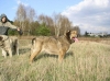 Filename=993.jpg
Filesize=85KiB
Dimensions=800x598
Date added=%462 %16, %2006 993.jpg