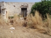Filename=1.jpg
Filesize=316KiB
Dimensions=800x600
Date added=%698 %17, %2006 1.jpg