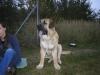 Filename=002.jpg
Filesize=383KiB
Dimensions=1600x1200
Date added=%503 %02, %2007 002.jpg