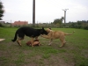 Filename=005.JPG
Filesize=351KiB
Dimensions=1600x1200
Date added=%830 %01, %2007 005.JPG